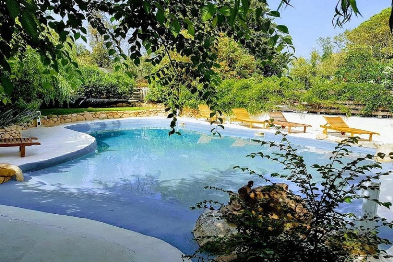 Salvacintoggio -Votre Villa avec Piscine Privée- Porto Vecchio Exterior foto